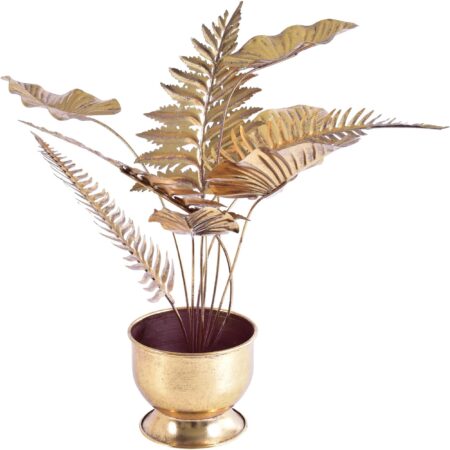 Planta Decorativa