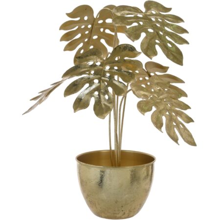 Planta Decorplanta de