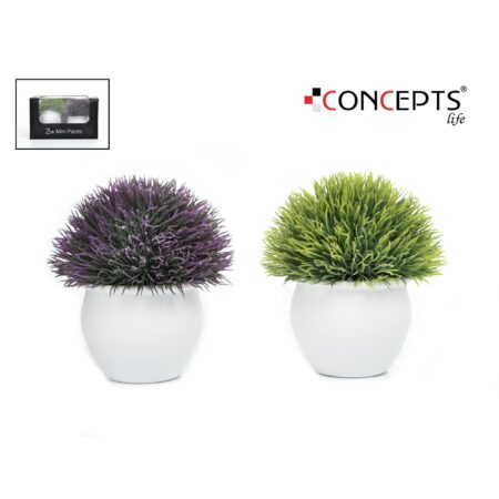 Planta Decorativo 2surt