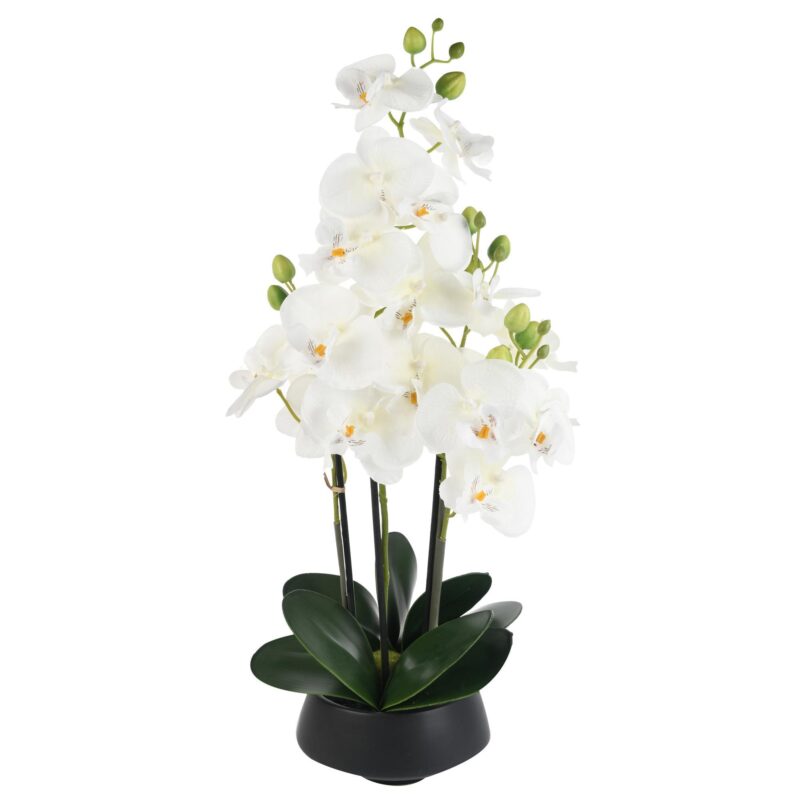 Orquidea con Pote Art