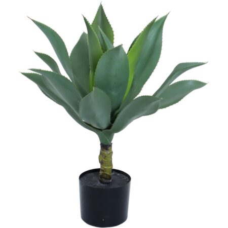 Agave con Pote Decorativo