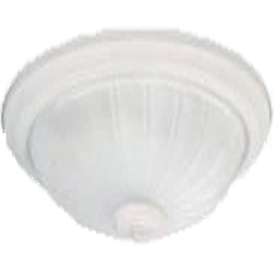 Lámpara Techo 2Lts 120V