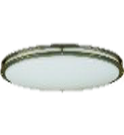 Lámpara Techo T9 2Lts 2