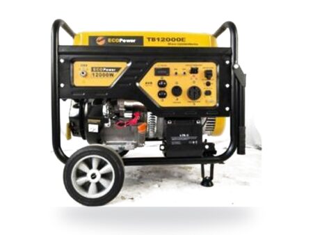 Generador a gasolina EcoPower TB12000E